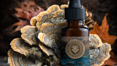 Unmatched Quality of Best Turkey Tail Tincture from China Leading Global Sales