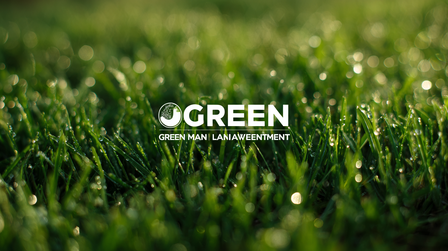 Choosing the Best Green Lawn Maintenance Manufacturer for Sustainable Solutions Worldwide