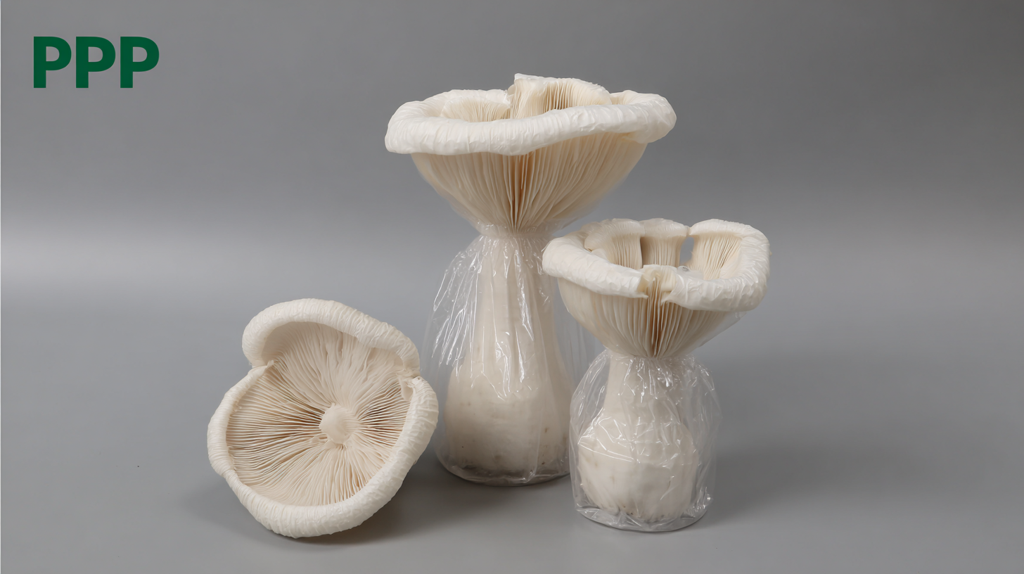 Unmatched Quality: China's Premier PP Mushroom Grow Bags with Injection Port for Global Cultivation