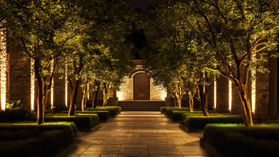 The Future Growth of Best Outdoor Lighting in Global Markets by 2025