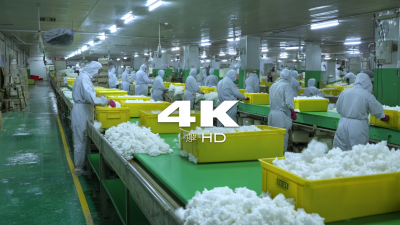 Discover the Excellence of Chinese Factories in Supplying Best Molded Fiber Packaging to Global Buyers