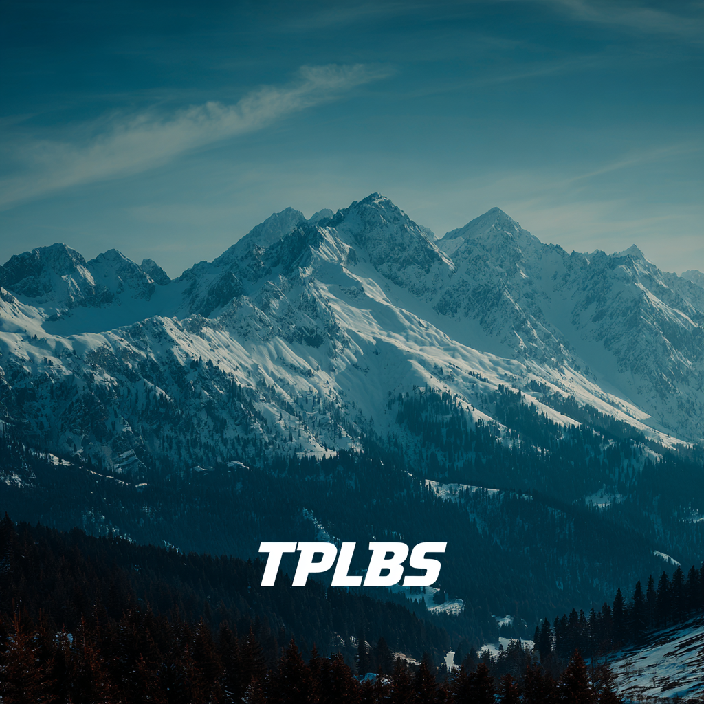 Navigating the Future of the Best Tbls Pvc Stabilizer Market Insights and Best Practices for 2025