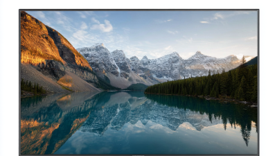 Global Sourcing of Premium LCD Displays from China's Leading Manufacturers