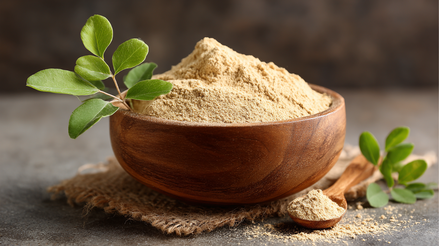 Navigating the Evolution: How Best Maca Root Powder Drives Industry 2025 Tech Trends