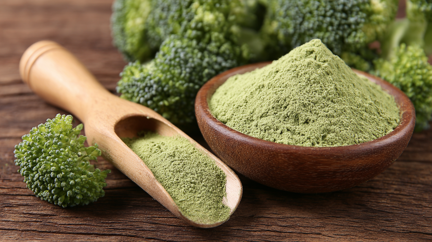 Maximizing Value: The Importance of After-Sales Service for Best Organic Broccoli Powder