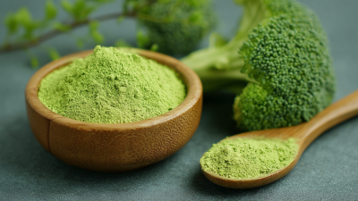Maximizing Value: The Importance of After-Sales Service for Best Organic Broccoli Powder