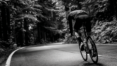 Choosing the Right Manufacturer for Your Best Carbon Fork Road Bike with Expert Comparisons