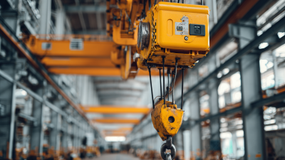 Top Strategies for Maximizing Efficiency with the Best Chain Hoists