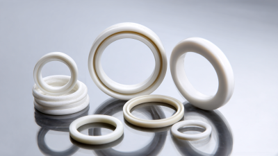 Unlocking Global Trust: Premium PTFE O Rings from China's Leading Manufacturer