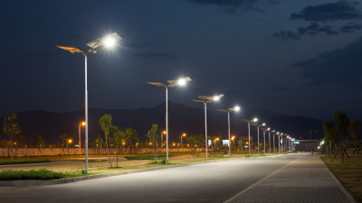 Elevating Global Standards: How China's Best Solar Pole Lights Redefine Quality and Trust