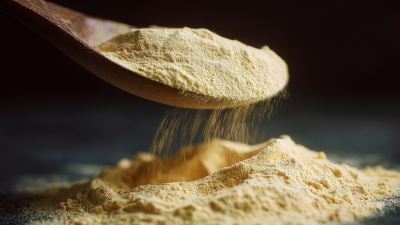 Unlocking the Power of Nature: A Comprehensive Guide to the Best Extract Powders for Global Buyers