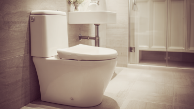 10 Reasons Why the Best One Piece Chair Height Toilet is the Ultimate Bathroom Upgrade