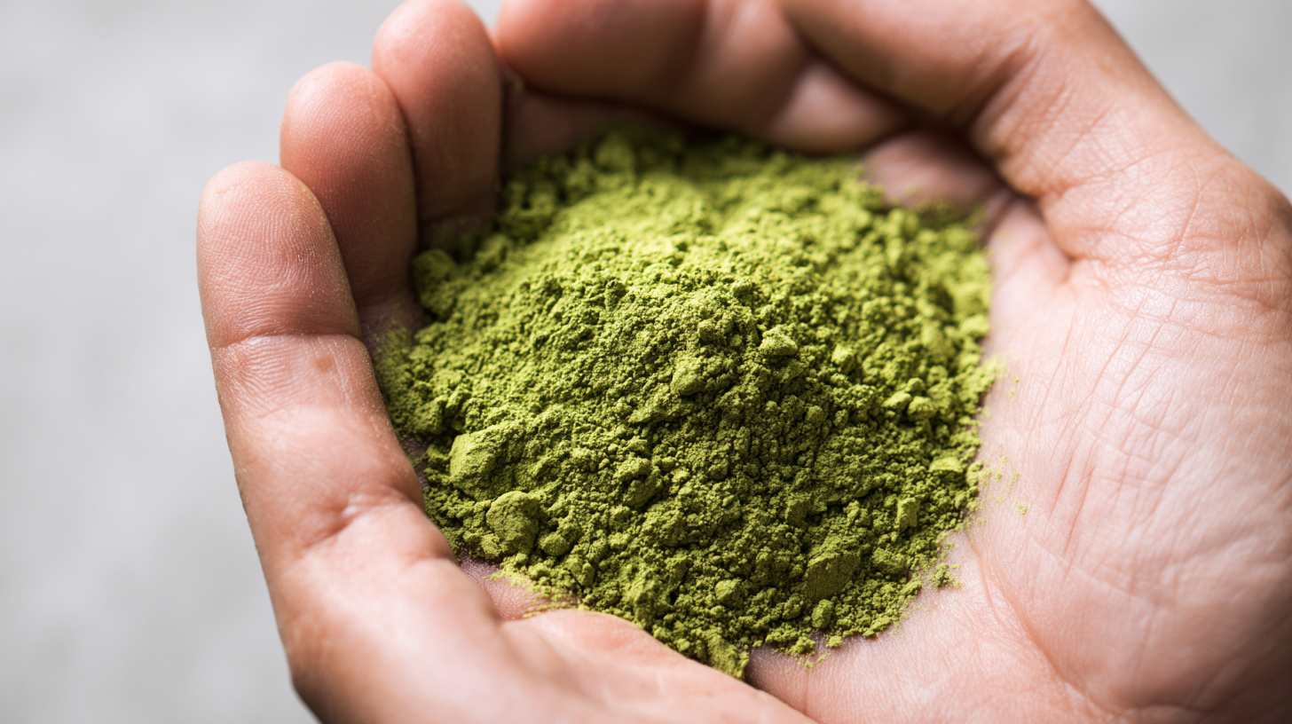 Unlocking the Power of Nature: A Comprehensive Guide to the Best Extract Powders for Global Buyers
