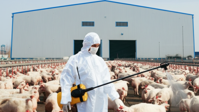 Unmatched Quality in Farm Disinfection from China's Leading Factory