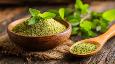 Choosing the Right Manufacturer for High Quality Best Stevia Extract Products