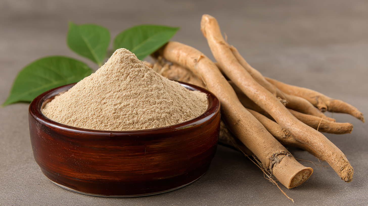 How to Maximize After-Sales Support and Minimize Repair Costs for Best Pueraria Lobata Extract Puerarin