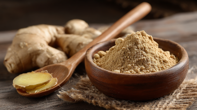 Innovative Directions for Best Ginger Powder Alternatives in 2025 Technology Evolution