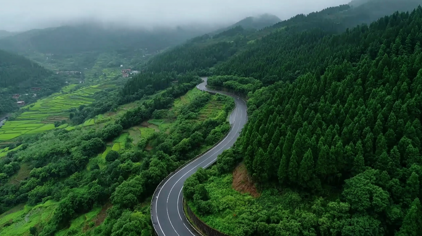 Global Leaders in Production: Discover the Excellence of China's Best Fake Vines Spotlight