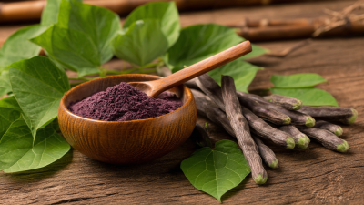 Unlock the Power of Premium Pueraria Lobata Extract from Leading Chinese Manufacturers