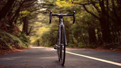 Benefits of Choosing the Best Carbon Fork Road Bike for Optimal Performance
