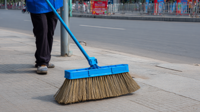 2025 Market Forecast for Hand Push Sweepers: Trends, Insights, and Real-world Applications