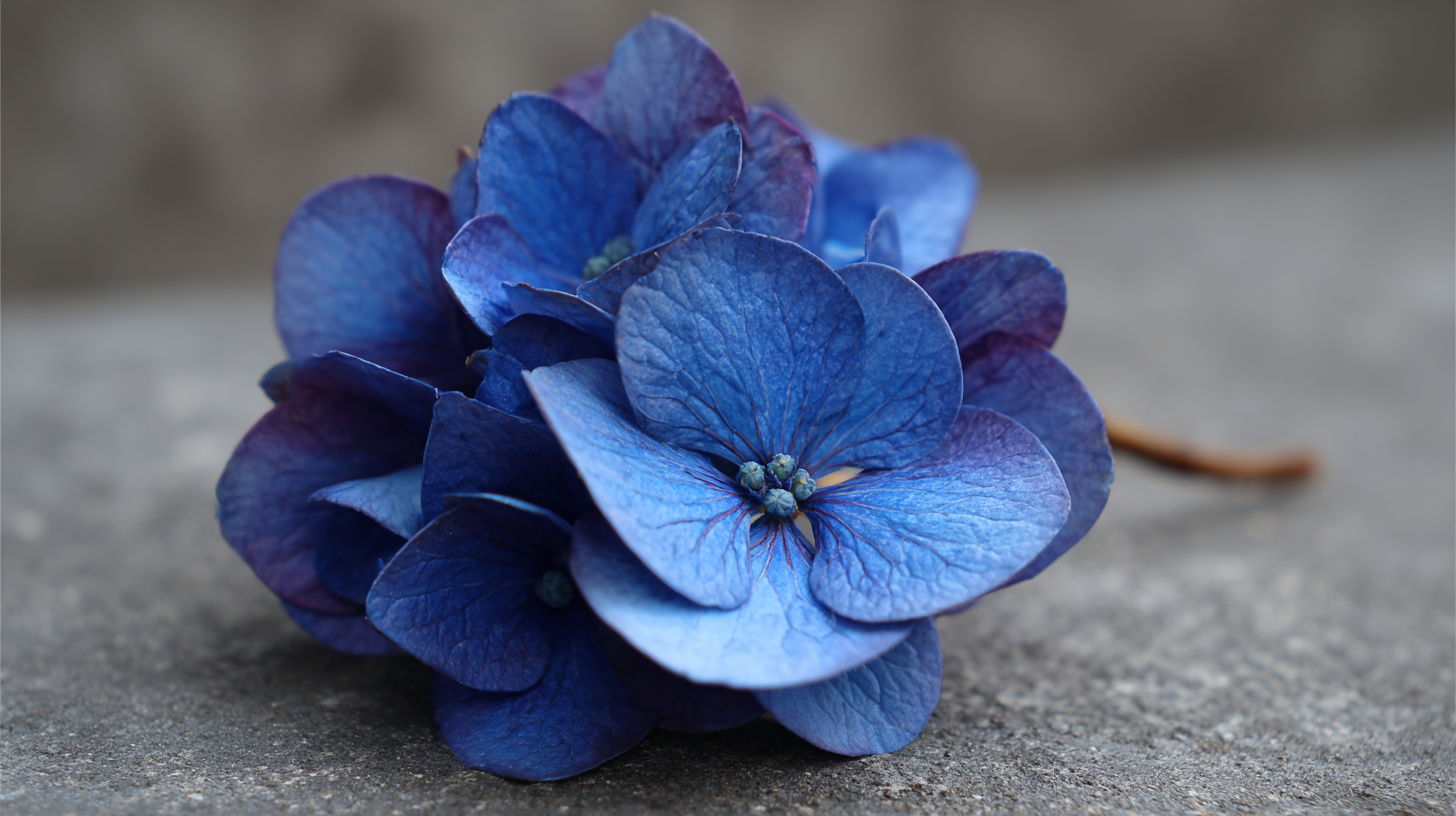 Unlocking Style: The Benefits of Choosing the Best Blue Flower Hair Clip for Your Wardrobe