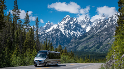 What to Know About Best Mini Bus Rentals for Your Next Global Adventure