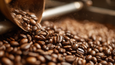 How to Select the Best Roasted Coffee for Your Global Supply Chain Needs