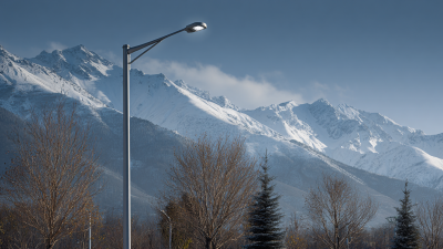 Discover the Best Street Light Solutions Directly from Top Chinese Manufacturers