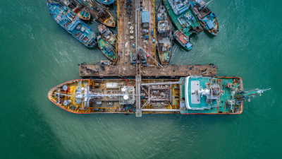 Master the Essentials of Best Fish Processing Equipment with Expert Insights and Proven Techniques