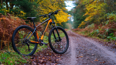 How to Navigate Import and Export Certifications for Best 26 Inch Mountain Bike Forks