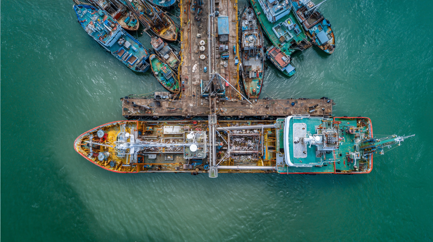 Master the Essentials of Best Fish Processing Equipment with Expert Insights and Proven Techniques