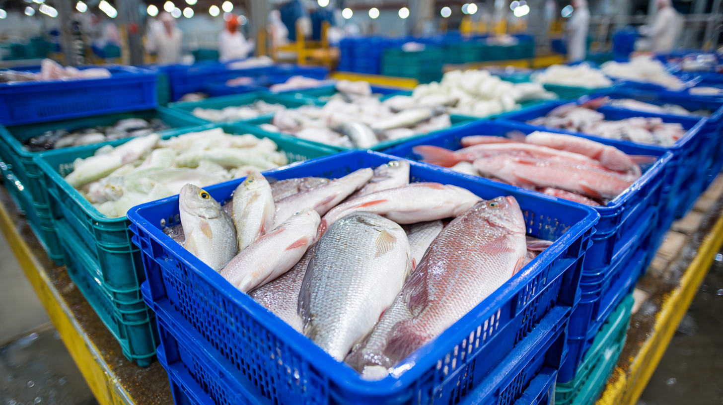 Master the Essentials of Best Fish Processing Equipment with Expert Insights and Proven Techniques
