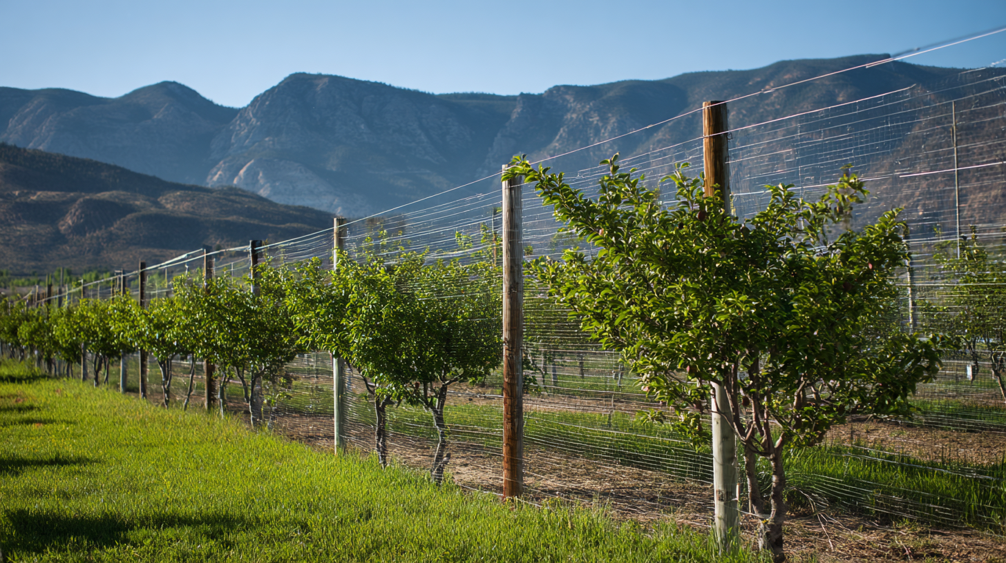 Understanding the Best Peach Post Fence Production Standards and How to Choose the Right One for Your Needs