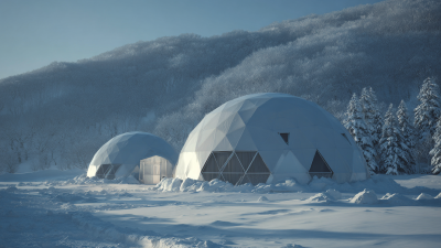 A Comprehensive Tutorial on Choosing the Best Horizontal Domes for Your Needs