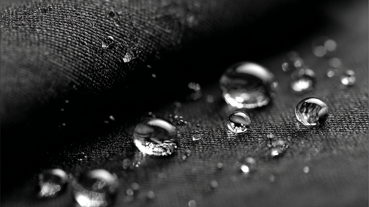 Future Insights on Best Polyester Water Resistant Market Trends and Opportunities by 2025
