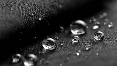 Future Insights on Best Polyester Water Resistant Market Trends and Opportunities by 2025