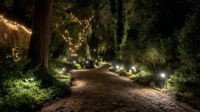 Exploring Innovative Alternatives for Best Low Voltage Garden Lights in Sustainable Landscaping