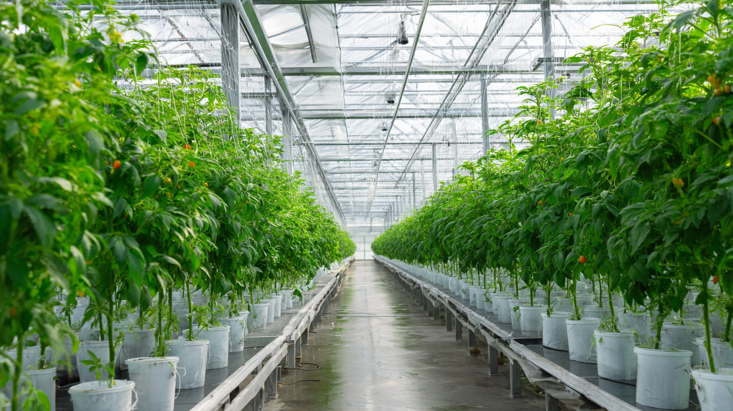 7 Reasons Why the Best Light Deprivation Greenhouse Will Transform Your Cultivation Business