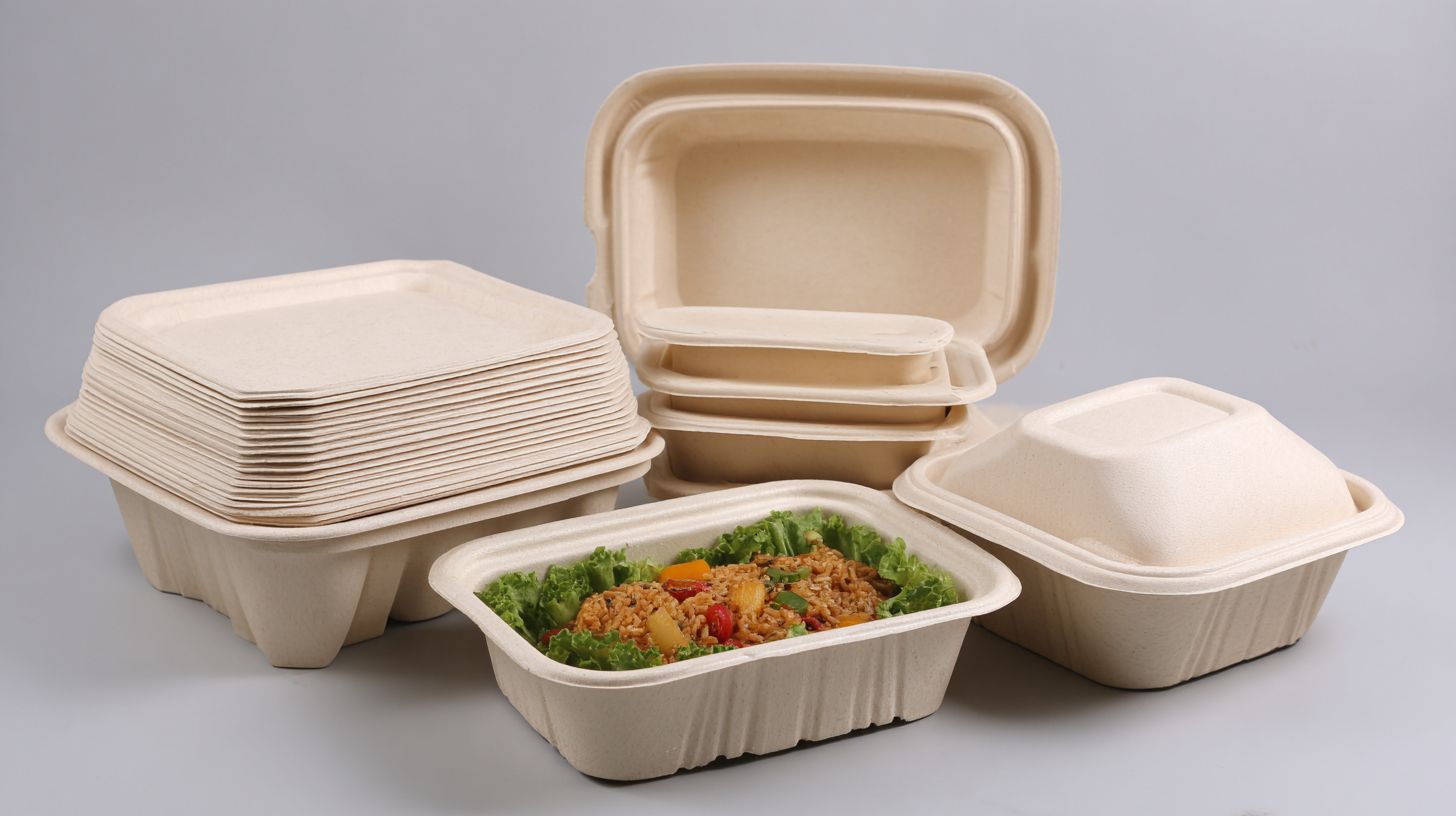 Ultimate Guide for Global Buyers to Choosing the Best Bagasse Lunch Box