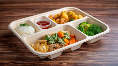 Ultimate Guide for Global Buyers to Choosing the Best Bagasse Lunch Box