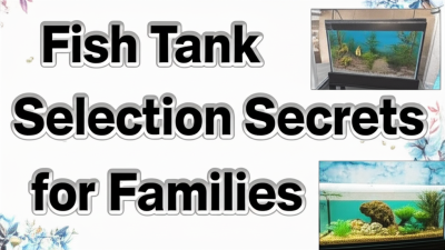 What is the Secret to Choosing the Best Fish Tank for Your Home