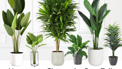 How to Choose the Best Tall Artificial Plants for Your Space: Expert Tips & Insights