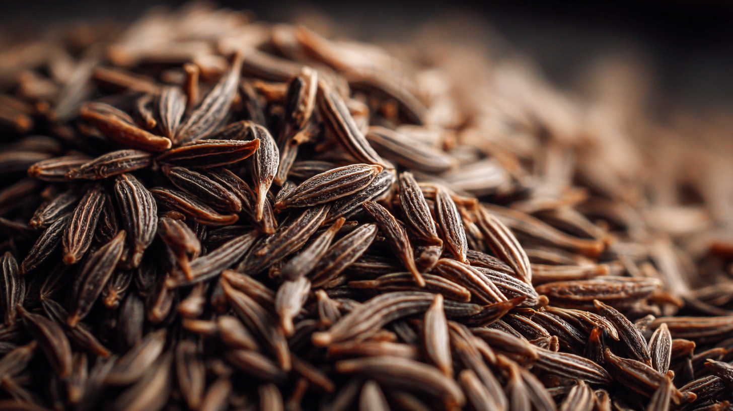 How to Select the Best Cumin Seed for Your Global Sourcing Needs