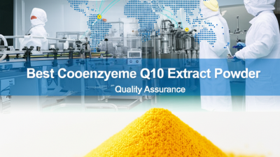 China Manufacturing Elevates Global Sales of Best Coenzyme Q10 Extract Powder with Quality Assurance