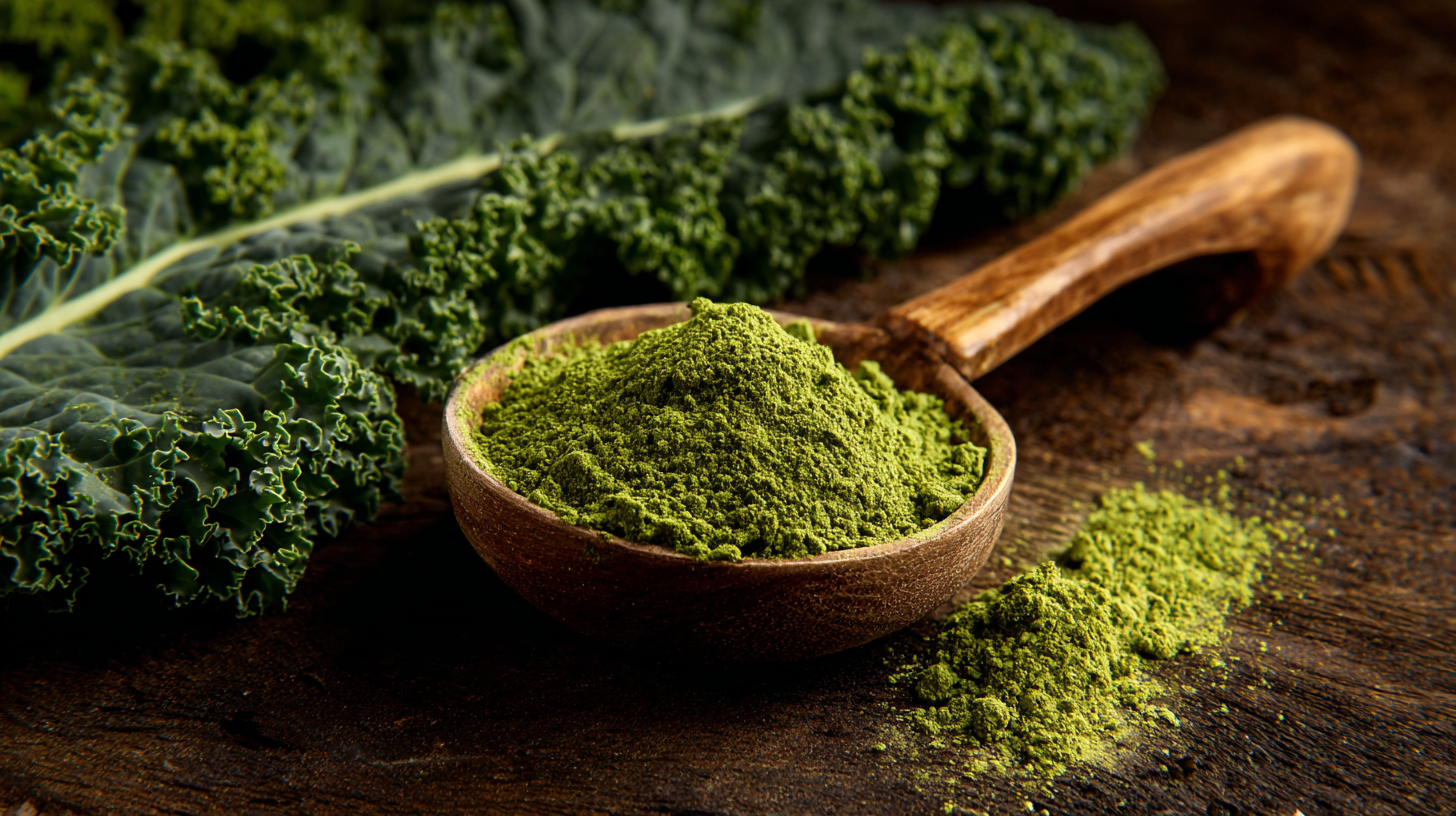 Unlocking the Benefits of Best Organic Kale Powder with Comprehensive Technical Specifications and Usage Guide