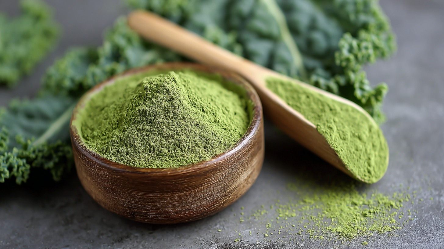 Unlocking the Benefits of Best Organic Kale Powder with Comprehensive Technical Specifications and Usage Guide