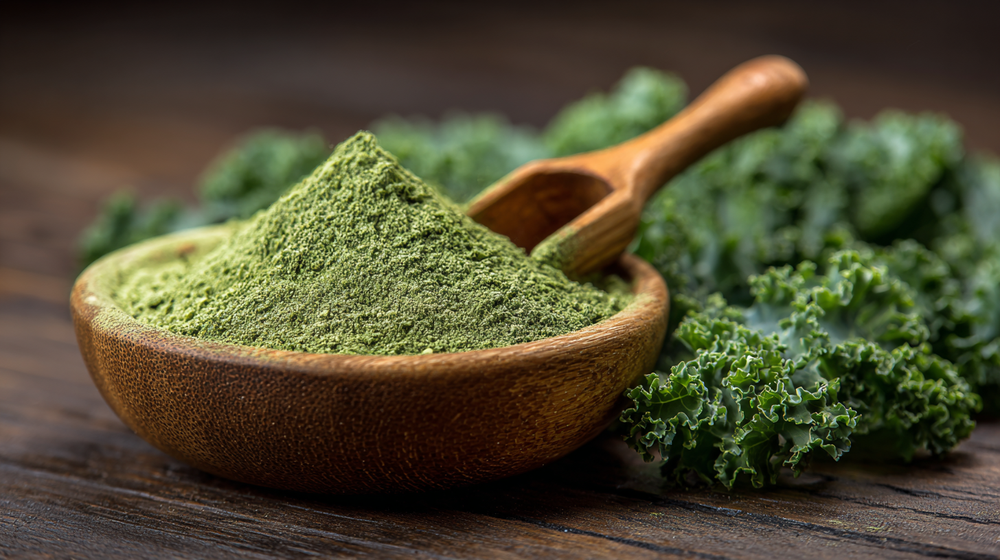 Unlocking the Benefits of Best Organic Kale Powder with Comprehensive Technical Specifications and Usage Guide