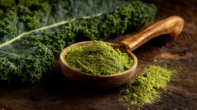 Unlocking the Benefits of Best Organic Kale Powder with Comprehensive Technical Specifications and Usage Guide
