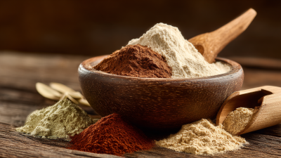 Exploring Alternative Nootropic Powders: Finding the Best Fit for Your Needs